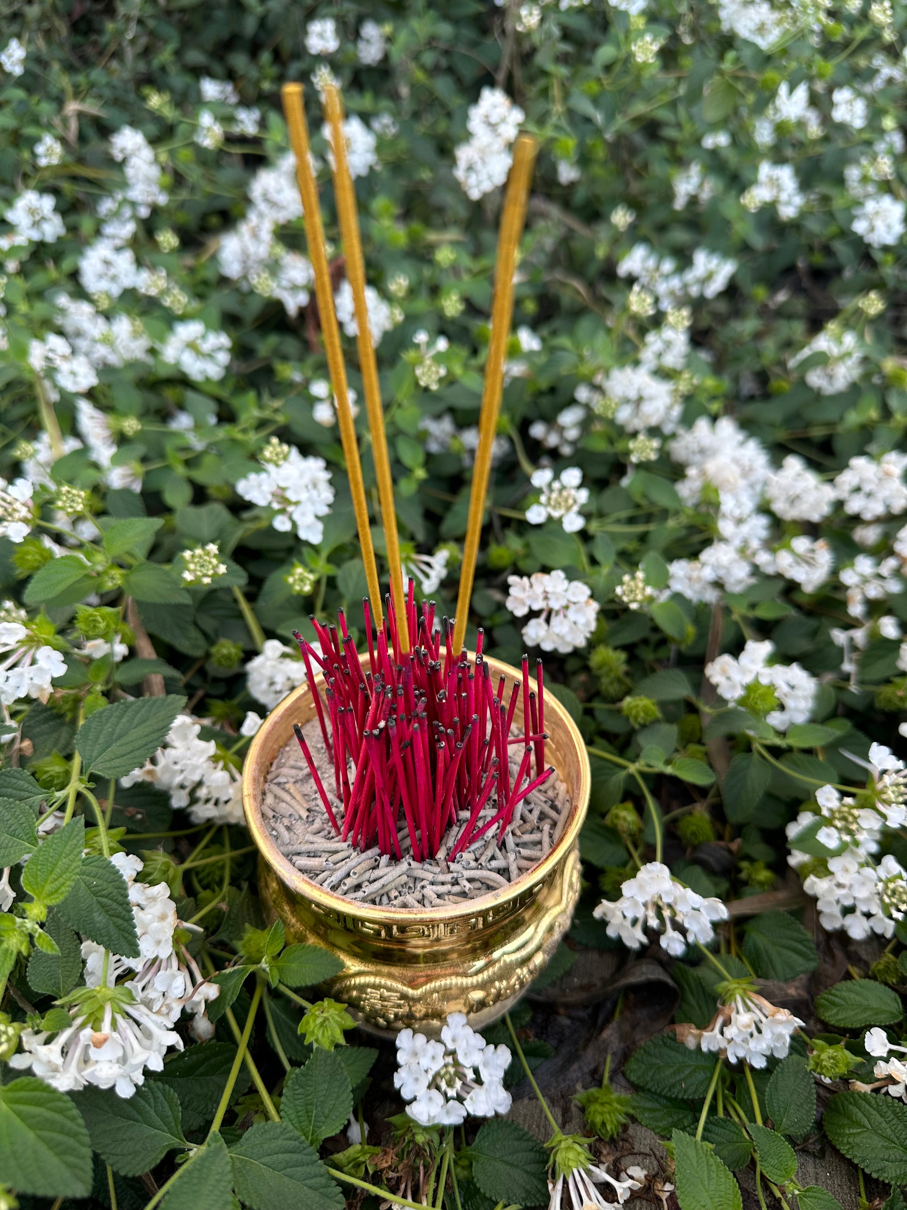 1 lb pack of Cambodian ritual incense sticks (Touk) for traditional ceremonies. Perfect for Buddhist rituals and memorial offerings. $30